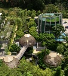 Tree House (D23), Condominium #561643371